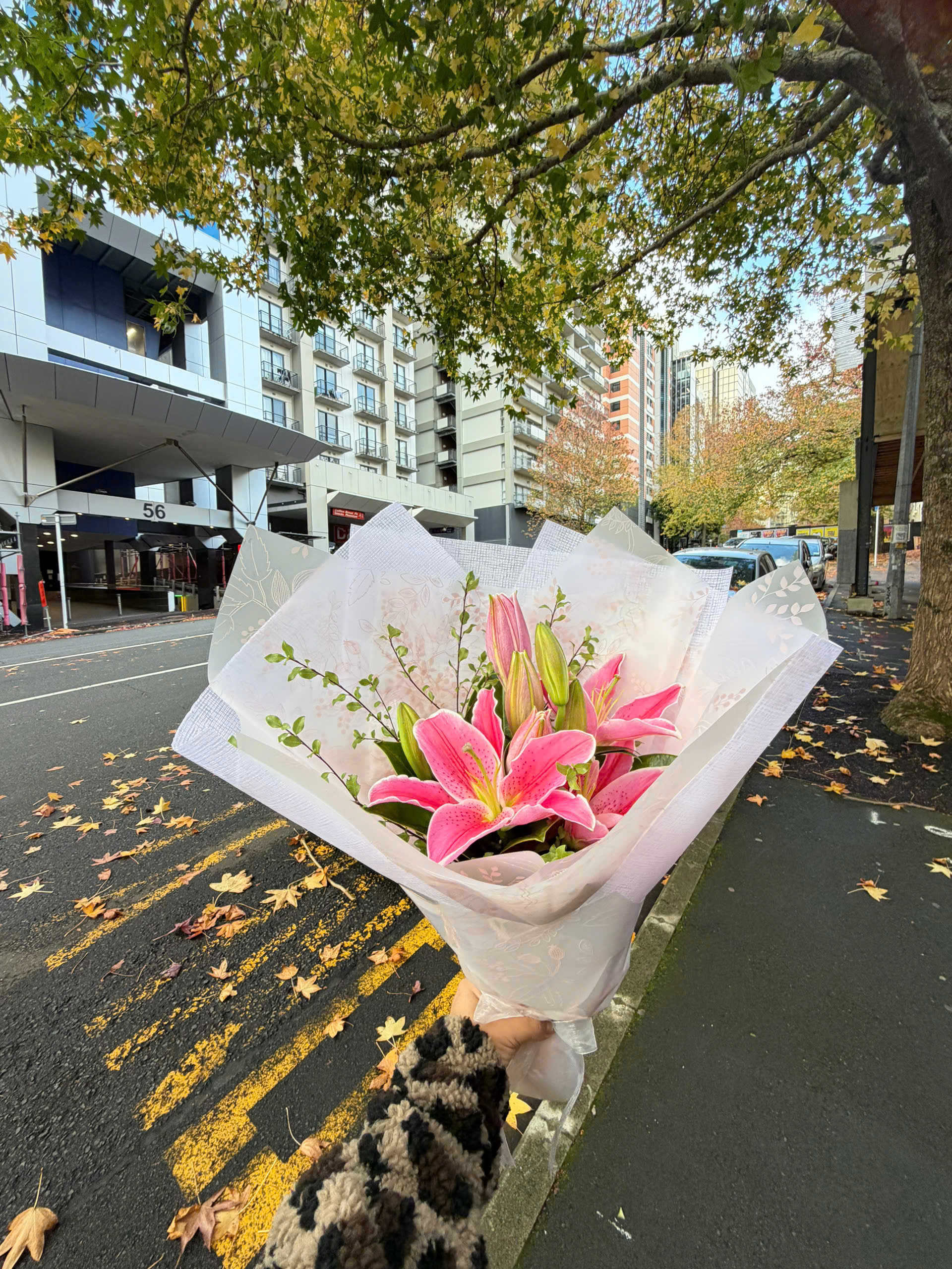 Rose